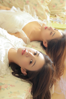 国产脱色摇床